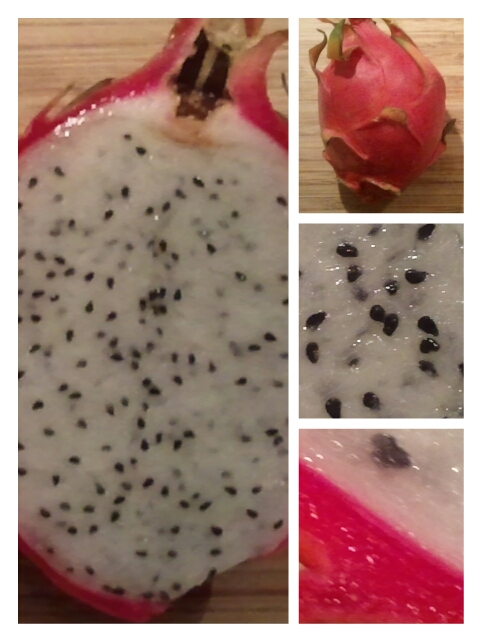 Pitahaya