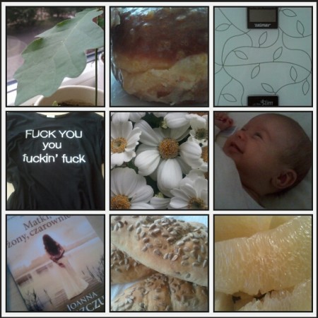 Migawki luty 2013