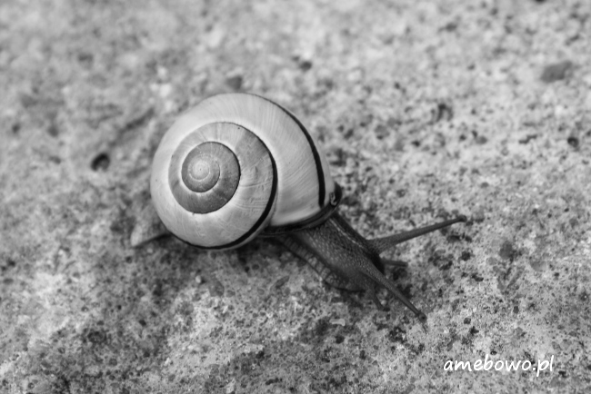 img_6587